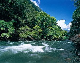 3A级生存恐怖《异形》新作预计2023年圣诞季推出