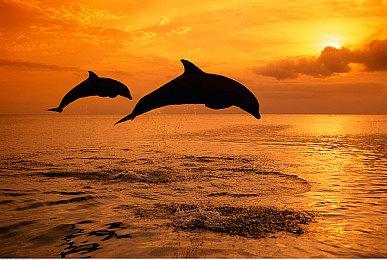 抗洪司机离奇冒险 恐怖新游《最末行程：胜利路19号》8月23日发售