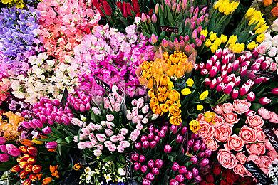 PS+欧美服10月游戏阵容公布 《死亡空间：重制版》等